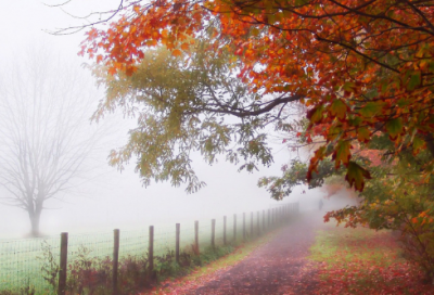 ​女儿13岁生日祝福语