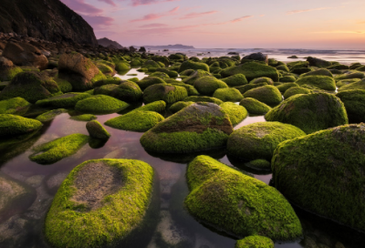 ​默默祝福生日短语