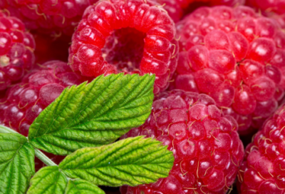 ​祝自己25岁生日快乐的话