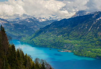 ​50岁生日祝福语女士简短蛋糕