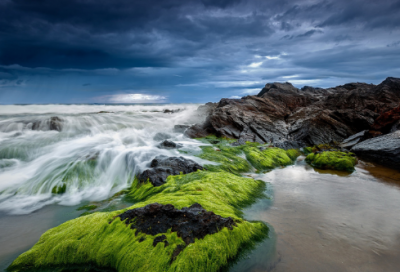 ​90大寿生日祝福歌及高清背景