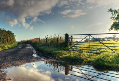 ​感谢亲人的生日祝福语