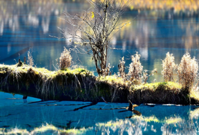 ​生日祝福语 简短独特15字以内