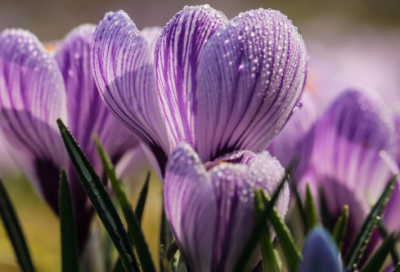 ​别人过生日怎么祝福别人