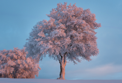 ​17个字的生日祝福语