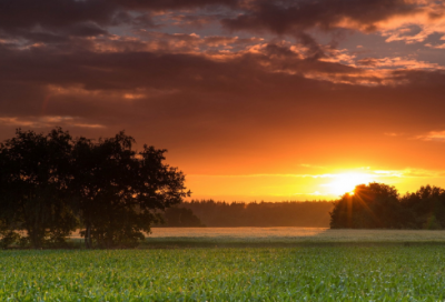 ​女性39岁生日祝福