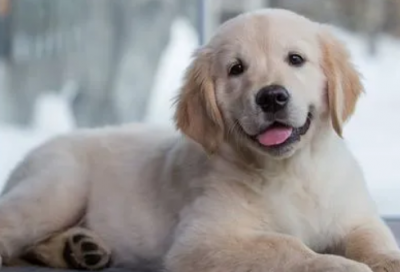 ​朋友女儿过生日祝福语大全-54句