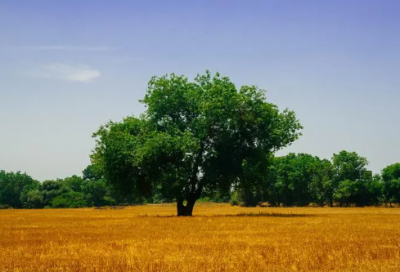 ​简短幽默结婚祝福语-53句