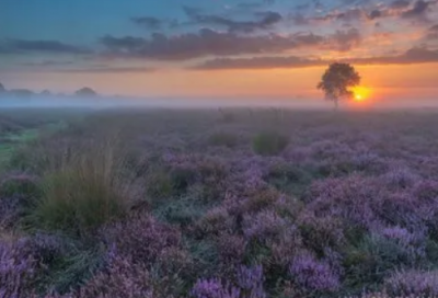 ​侄儿结婚祝福语-55句