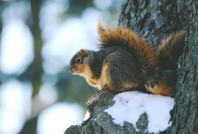 ​对爱人的祝福语真实-58句