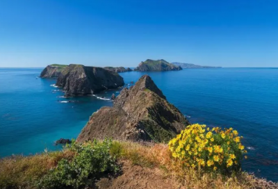 ​40多岁过生日祝福语-51句