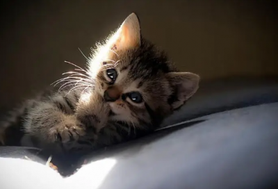 ​给妹妹结婚祝福语简短-54句