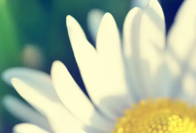 ​幽默生日祝福语大全-53句