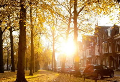 ​新郎新娘结婚祝福语-52句