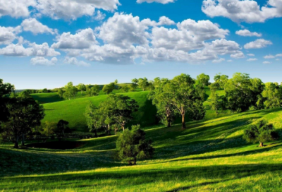 ​端午祝福语简短句-54句