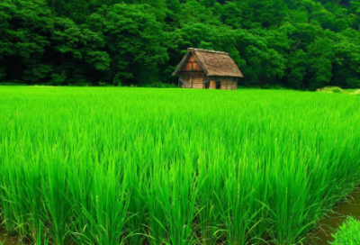 ​祝自己的生日祝福语-54句