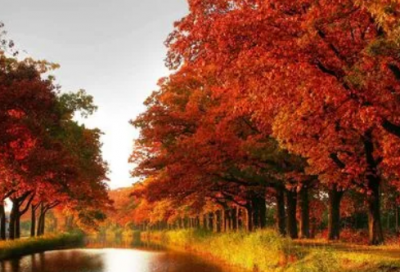 ​新的一年开业祝福语-50句