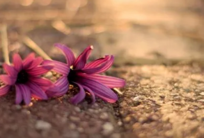 ​给长辈的简短独特生日祝福语-53句