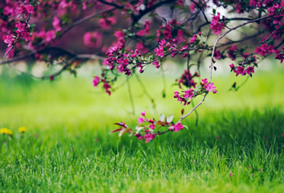 ​23岁生日祝福语简短独特-51句