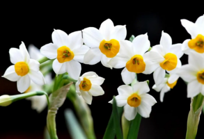 ​长辈给小辈结婚祝福语-50句