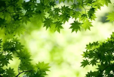 ​精选的老公生日祝福语大全-51句