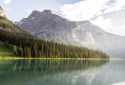 ​祝亲戚结婚的祝福语-50句