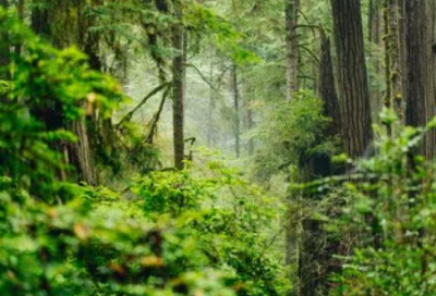 ​对女儿新年祝福语大全简短-52句