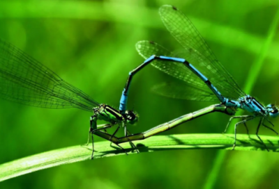 ​告别祝福语-51句