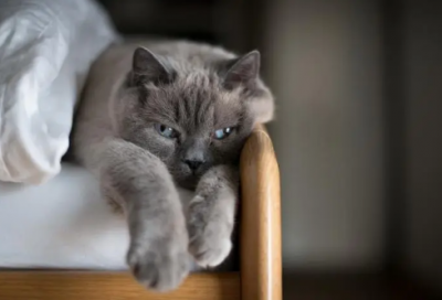 ​儿子结婚说什么祝福语-50句