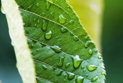 ​朋友小孩满月祝福语大全-50句