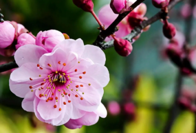 ​恭喜别人生孩子的祝福语大全-51句