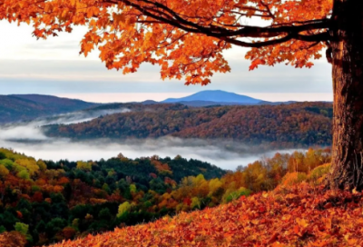 ​端午祝福语2021简短-52句