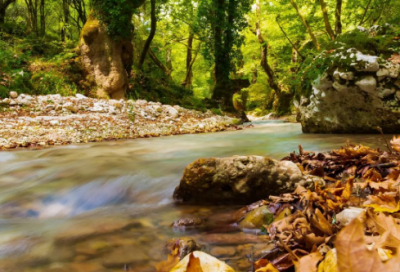 ​对小宝贝的祝福语简短-50句