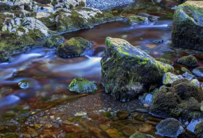 ​给奶奶的生日祝福语集锦-51句