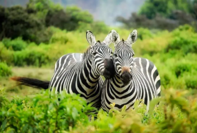 ​毕业祝福语简短一句话-54句