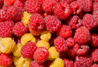 ​婚礼上送给新人的祝福语-50句