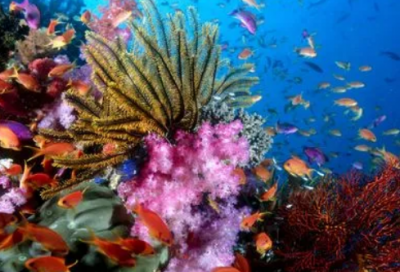 ​给高中生的祝福语简短-50句