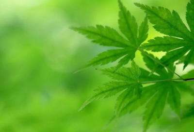 ​对自己三十岁的生日祝福语-46句