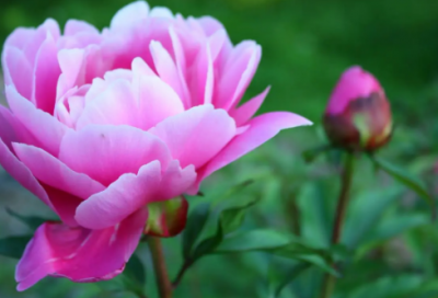 ​防疫祝福语-59句