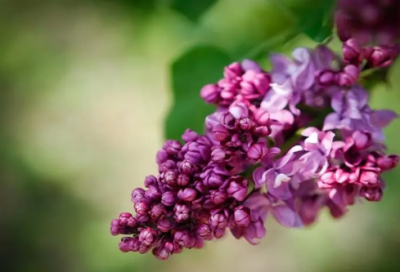 ​参加朋友婚礼说什么祝福语-44句