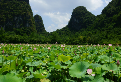 ​八字祝福语孩子-68句