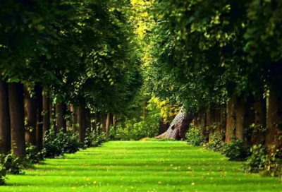 ​比赛成功的祝福语-51句