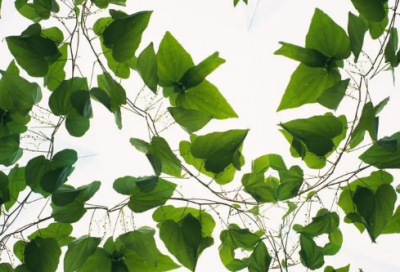 ​乔迁公司祝福语大全-55句