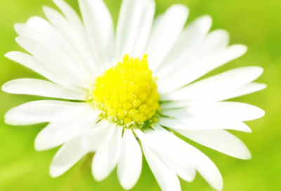 ​爆单的生日祝福语-52句