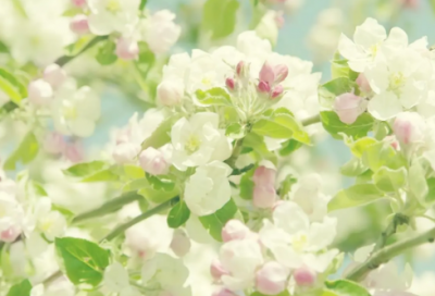 ​乔迁公司祝福语大全-51句