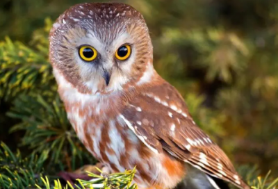 ​领证结婚祝福语-60句