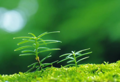 ​感谢语和祝福语-38句