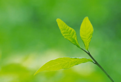 ​对于生三胎的祝福语-53句