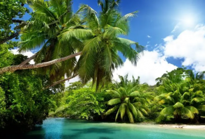 ​份子钱祝福语及署名-63句