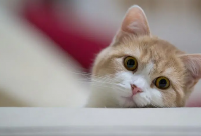 ​对孩子的生日祝福语 简短独特